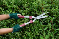 70100426-General-Purpose-Hedge-Shears