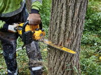 DeWALT® XR FlexVolt Chainsaw 45cm Bar 54V