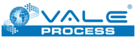 VALE PROCESS LOGO (1)