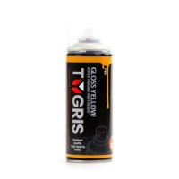 TYGRIS Gloss Paint