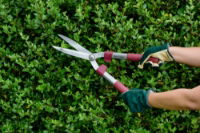 70100426-General-Purpose-Hedge-Shears-(2) (1)