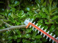 BCHTS3620L1 HEDGE TIMMER W/ SAWBLADE 55CM 36V 1X2.0AH LI-ION