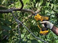 DeWALT® XR Pruner 18V