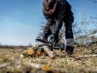 MS 18 LTX 15 PRUNING SAW 18V BARE UNIT