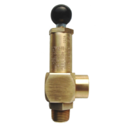 Dereve® Series 6200 Safety Relief Valve