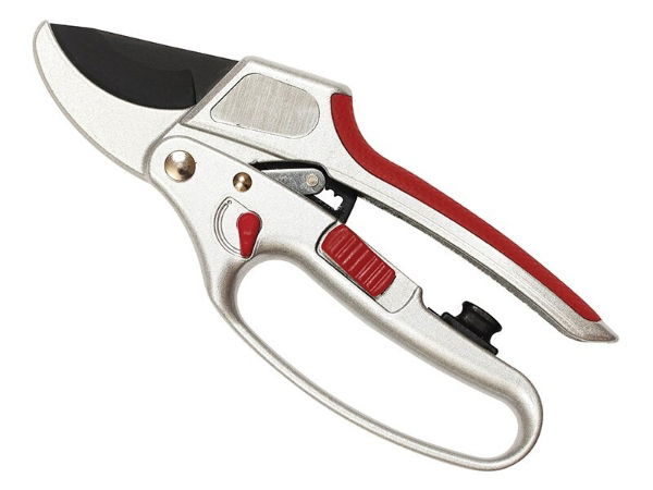 RATCHET SECATEURS