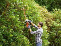 BEHTS401 HEDGE STRIMMER WITH SAW BLADE 55CM 500W 240V