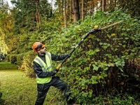 DeWALT® XR Pole Hedge Trimmer 18V