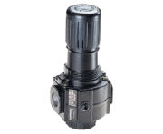 Excelon® Series 72 Relieving Regulator 1/4BSPP